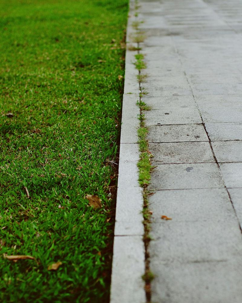 A neatly edged green lawn alongside a straight concrete walkway.