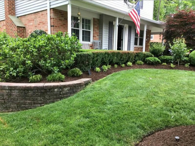 A front yard with a green lawn, trimmed shrubs, and a mulched bed along a low brick wall.