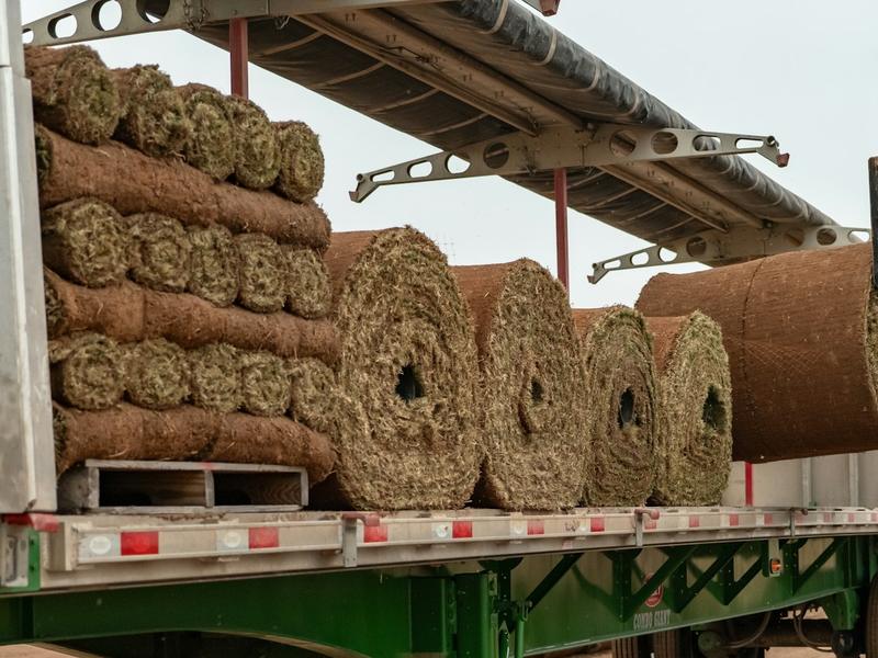 Fresh rolls of sod stacked on a flatbed trailer.